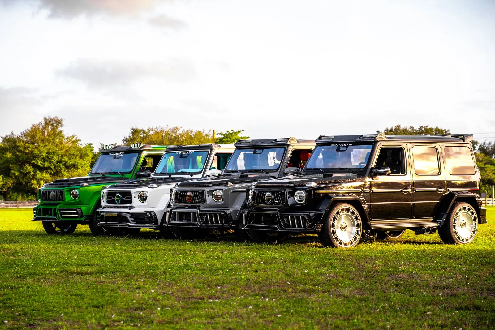 Crafting Visual Excellence